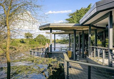 Olonana on the banks of the Mara