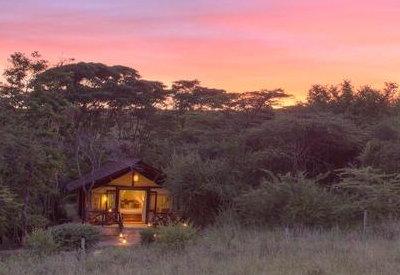 Mara Sarova in a acacia forest