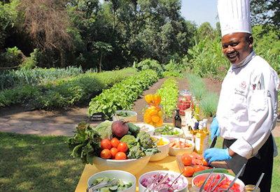 Camp chefs and lunch buffet