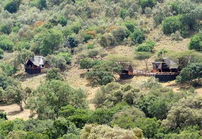 Small boutique safari lodge