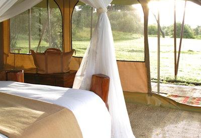 Classic Saruni safari experience