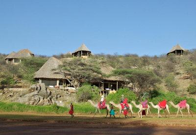 Safari activities from Sasaab
