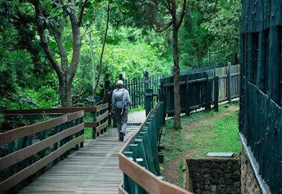 Numerous walking trails around property