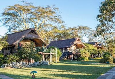 Classic Serena safari camp