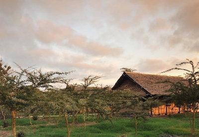 Thatched and canvas suites