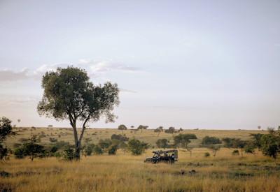 7 Days In Heaven Safari