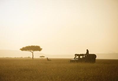 7 Days In Heaven Safari