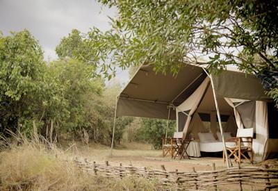 7 Days In Heaven Safari