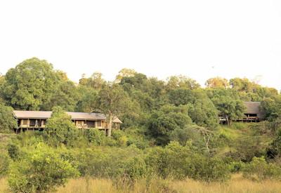 7 Days In Heaven Safari