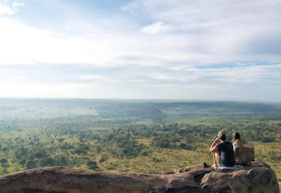 7 Days In Heaven Safari