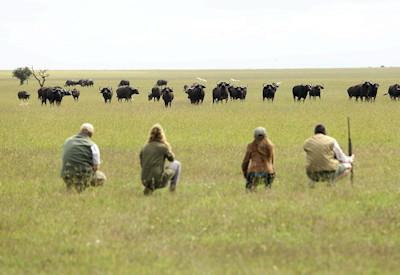 Classic Safari Through Kenya