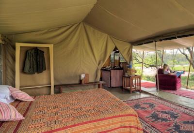 Classic Safari Through Kenya