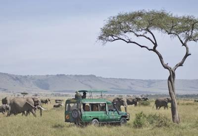 East African Explorer Safari