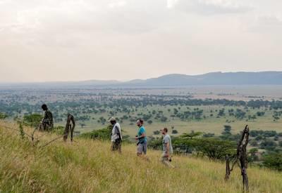 East African Explorer Safari