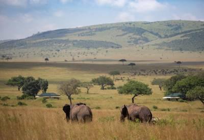 Elewana Kenya Connoisseur Safari