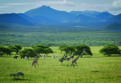 Experience Kenya 0n Horseback