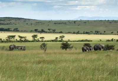 Experience Kenya 0n Horseback