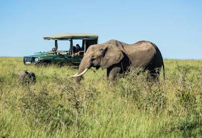 Explore The Best Of Kenya