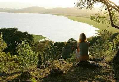 Governor's Sky Safari