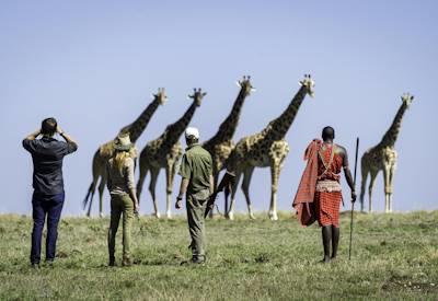 Governor's Sky Safari