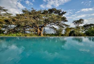 Governor's Sky Safari