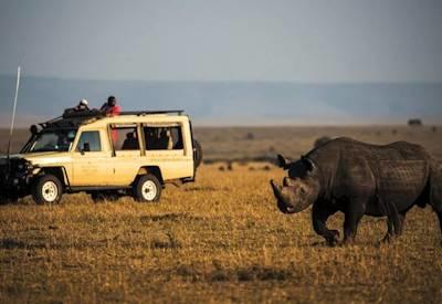 Highlights of Kenya Safari