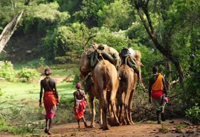 Karisia Hills Walking Safari