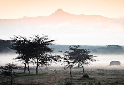 Kenya Best Of Both Safari