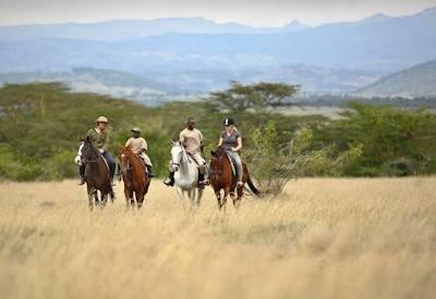 Kenya Best Of Both Safari