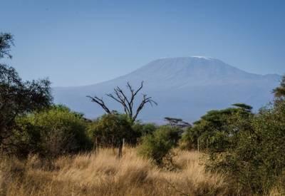 Kenya Bush and Beach Safari