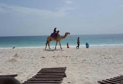 Kenya Bush and Beach Safari