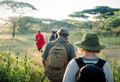 Kenya Explored Safari