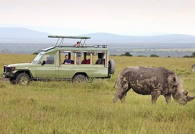 Kenya Explored Safari