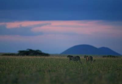 Kenya And Seychelles Safari