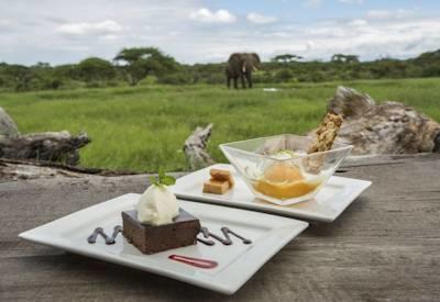 Kenya And Seychelles Safari