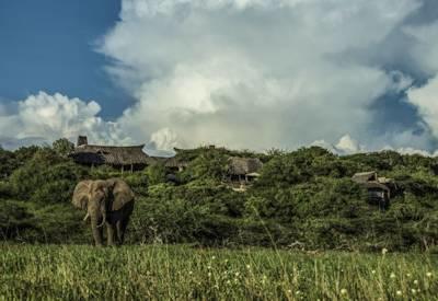 Kenya And Seychelles Safari