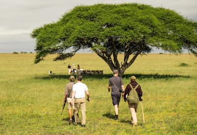 Kenya And Zanzibar Safari