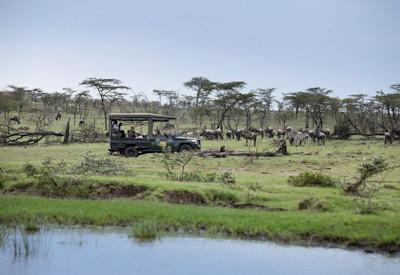 Kenya And Zanzibar Safari