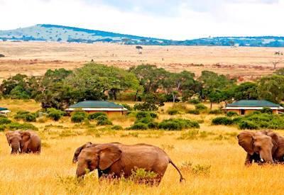 Kenyan Odyssey to the Mombasa Coast