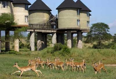 Kilimanjaro Safari to Mombasa Coast