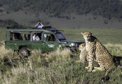 Little Governors Fly Safari