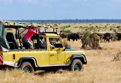 Out Of Africa Safari