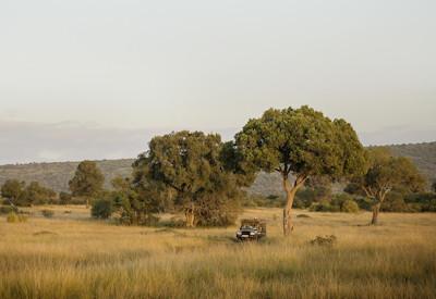 The Allen Key Safari