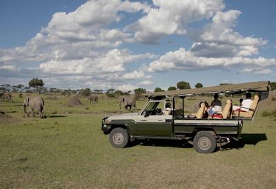 The Allen Key Safari