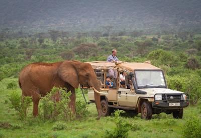 Treasures of Kenya Safari