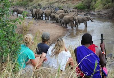 Tumaren Walking Safari