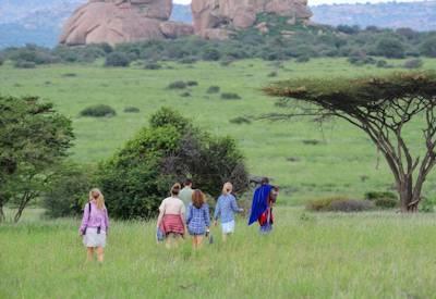 Tumaren Walking Safari