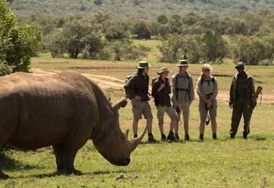Walk The Mara Conservancy