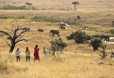 Elewana Kifaru House Family Friendly