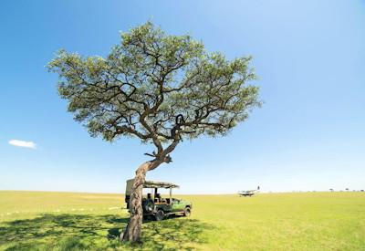 Mara Plains Camp Remote And Wild